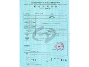 防火檢測報告2
